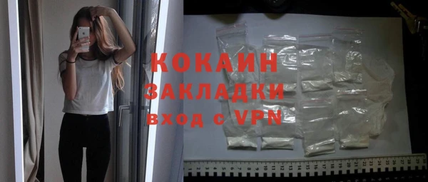 бошки Бородино