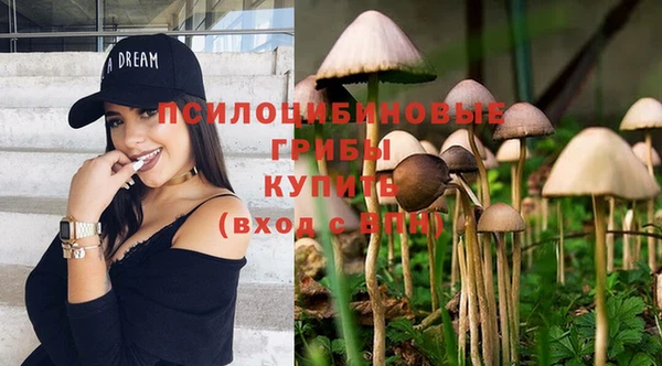 MDMA Premium VHQ Бугульма