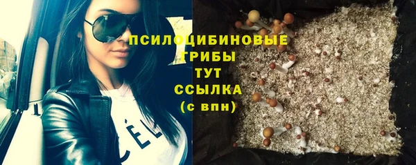 МДПВ Бронницы