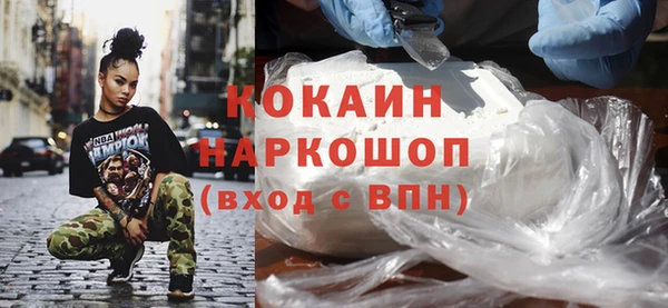бошки Бородино