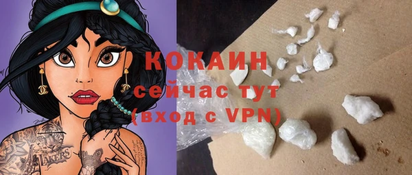 бошки Бородино