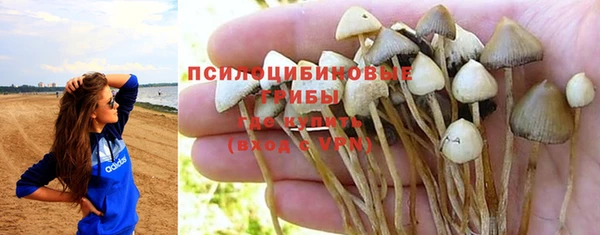 бошки Бородино