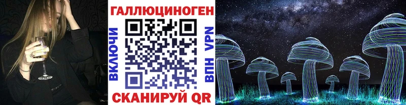 Галлюциногенные грибы Psilocybine cubensis  Кирсанов 